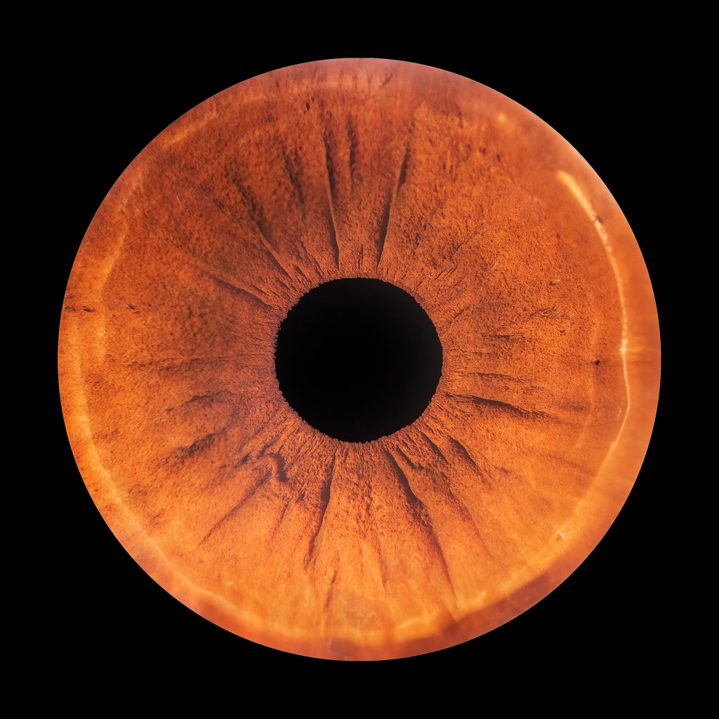 IRIS-700 thermal line camera, three-quarter product render on neutral background